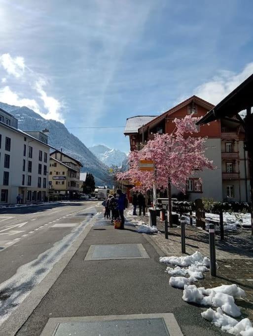 New.. Matten Central Family Suite, Sleeps 4 Matten bei Interlaken Екстериор снимка